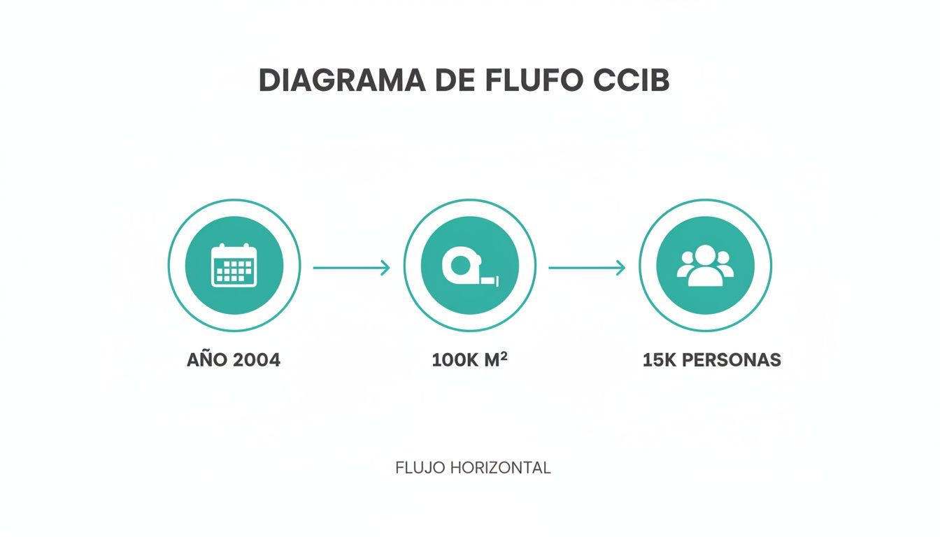 Diagrama de flujo horizontal del CCIB mostrando hitos clave: año 2004, 100K metros cuadrados y 15K personas.