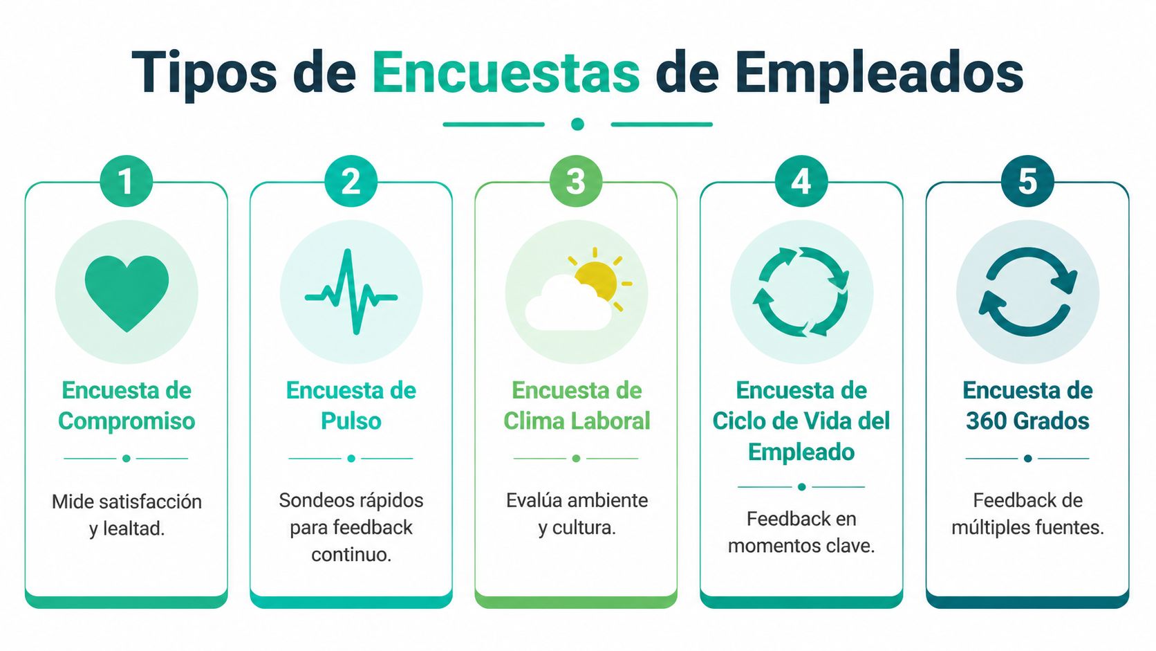 Infografía que enumera los cinco tipos principales de encuestas para empleados con sus respectivas funciones.