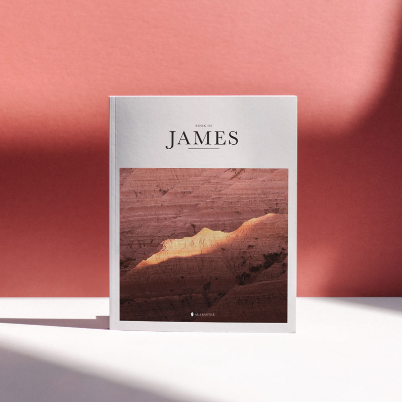 Webflow for blogging: 4 steps to getting started