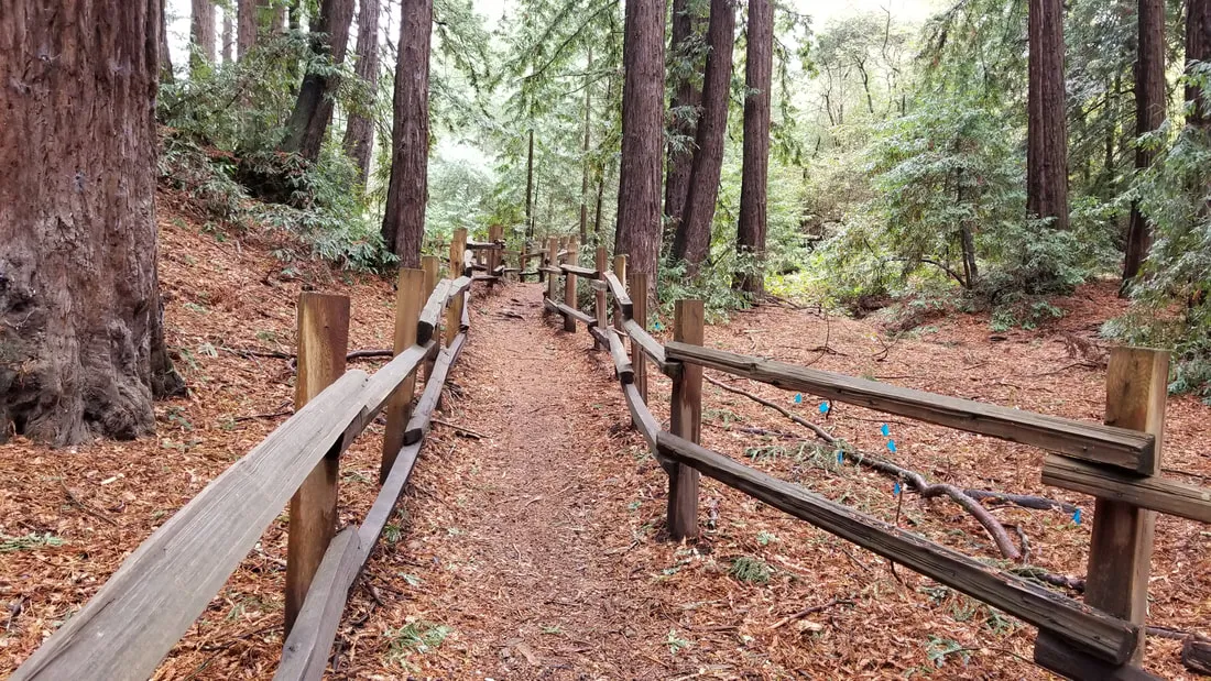 10 Fun Facts About Oakland