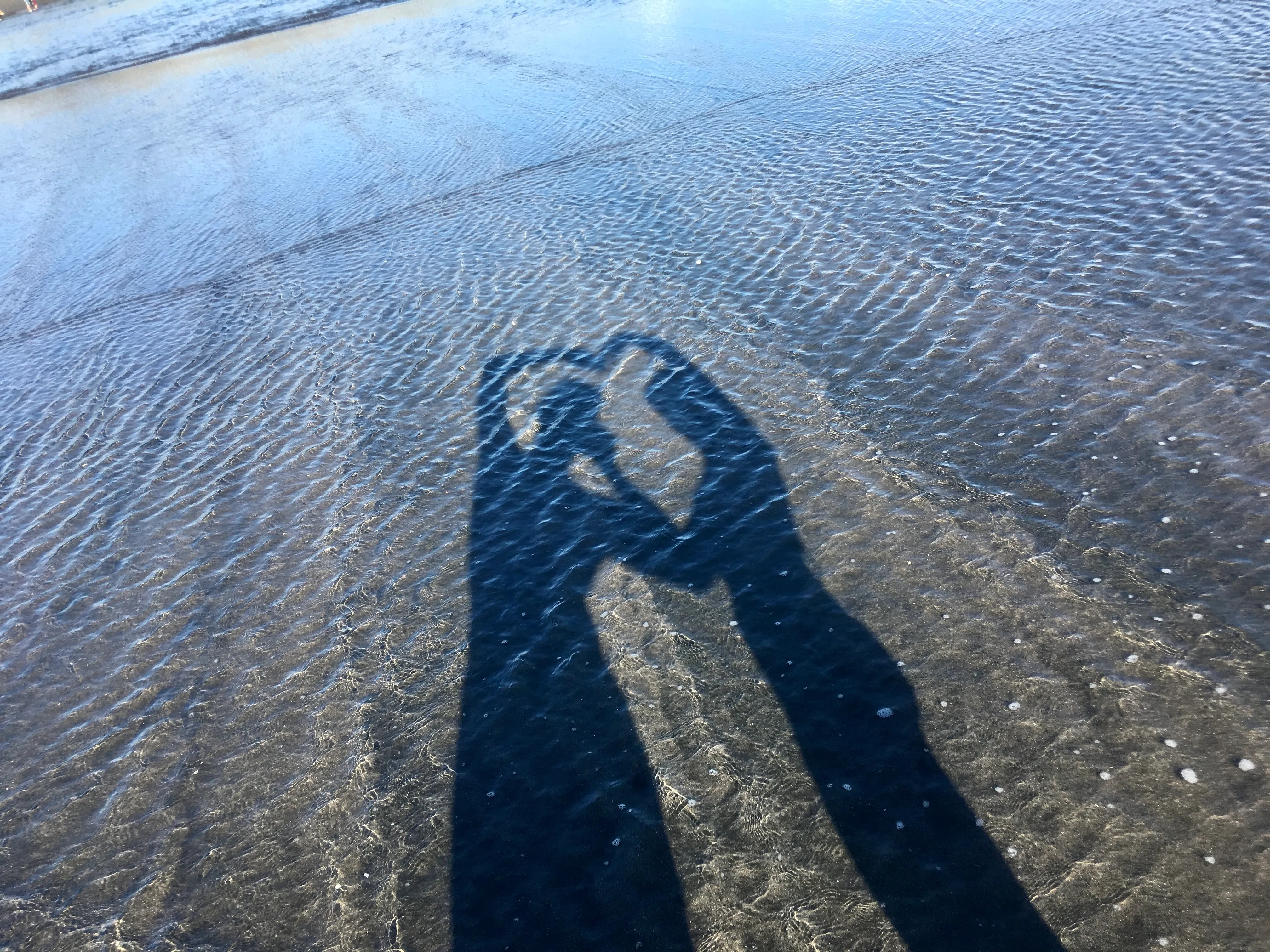 In Honor of Caitlin & Ted