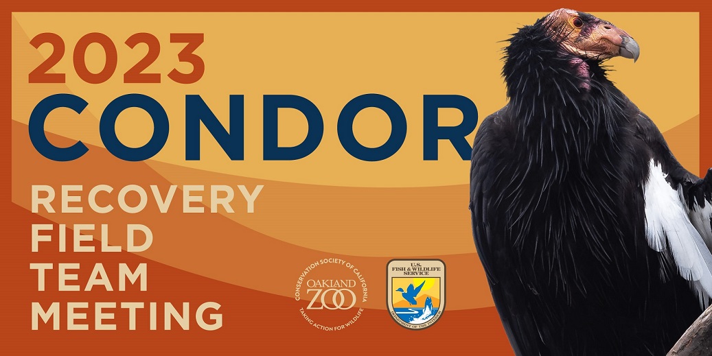 Condor Recovery Field Team Meeting