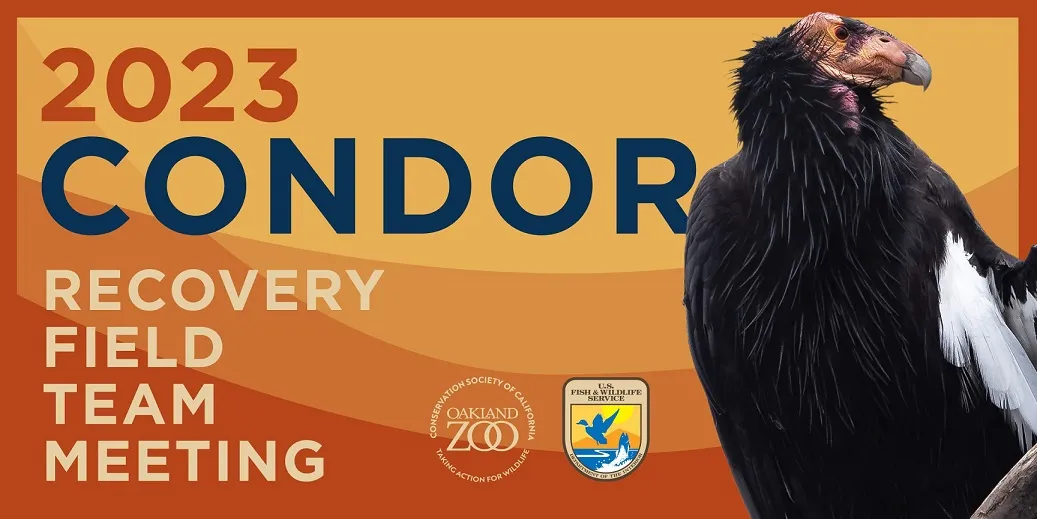 Condor Recovery Field Team Meeting