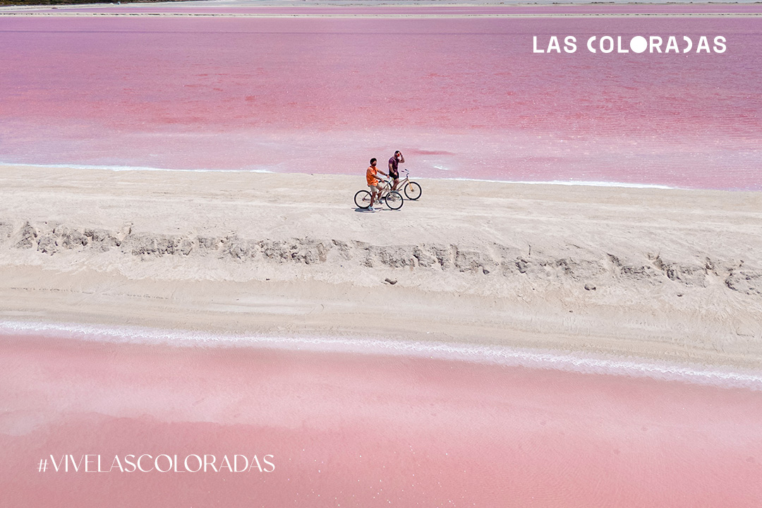 La Ruta de la Laguna Rosa: pedalea entre paisajes que parecen de otro planeta