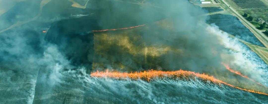 Satellite image of a wildfire