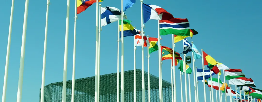 Photo of several countries' flags