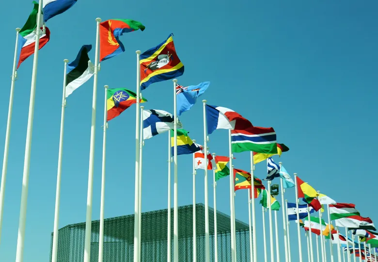 Flags of dozens of countries