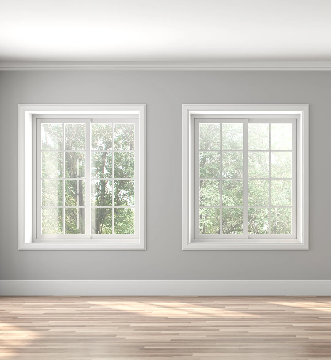 two newly replaced windows with white trim