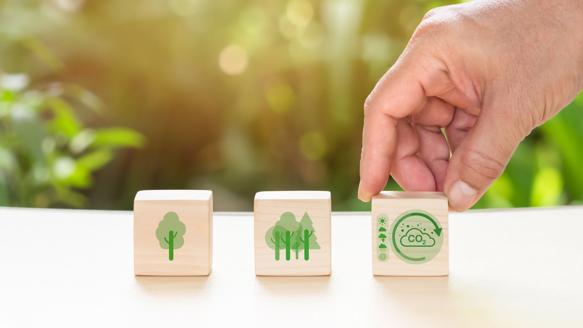 Piece de puzzle avec icônes : arbre, foret, CO2