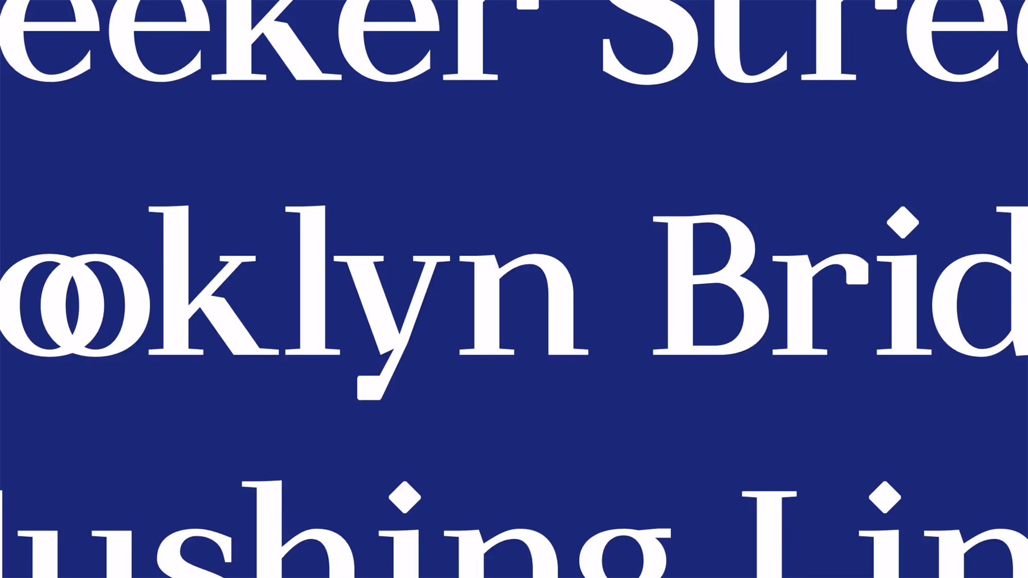 A crop of various words showing ligatures and other typographic features.