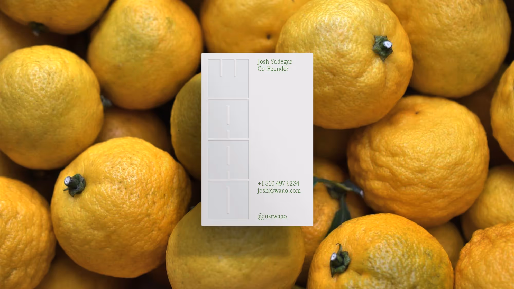 A branded business card floating above a bed of yuzu.