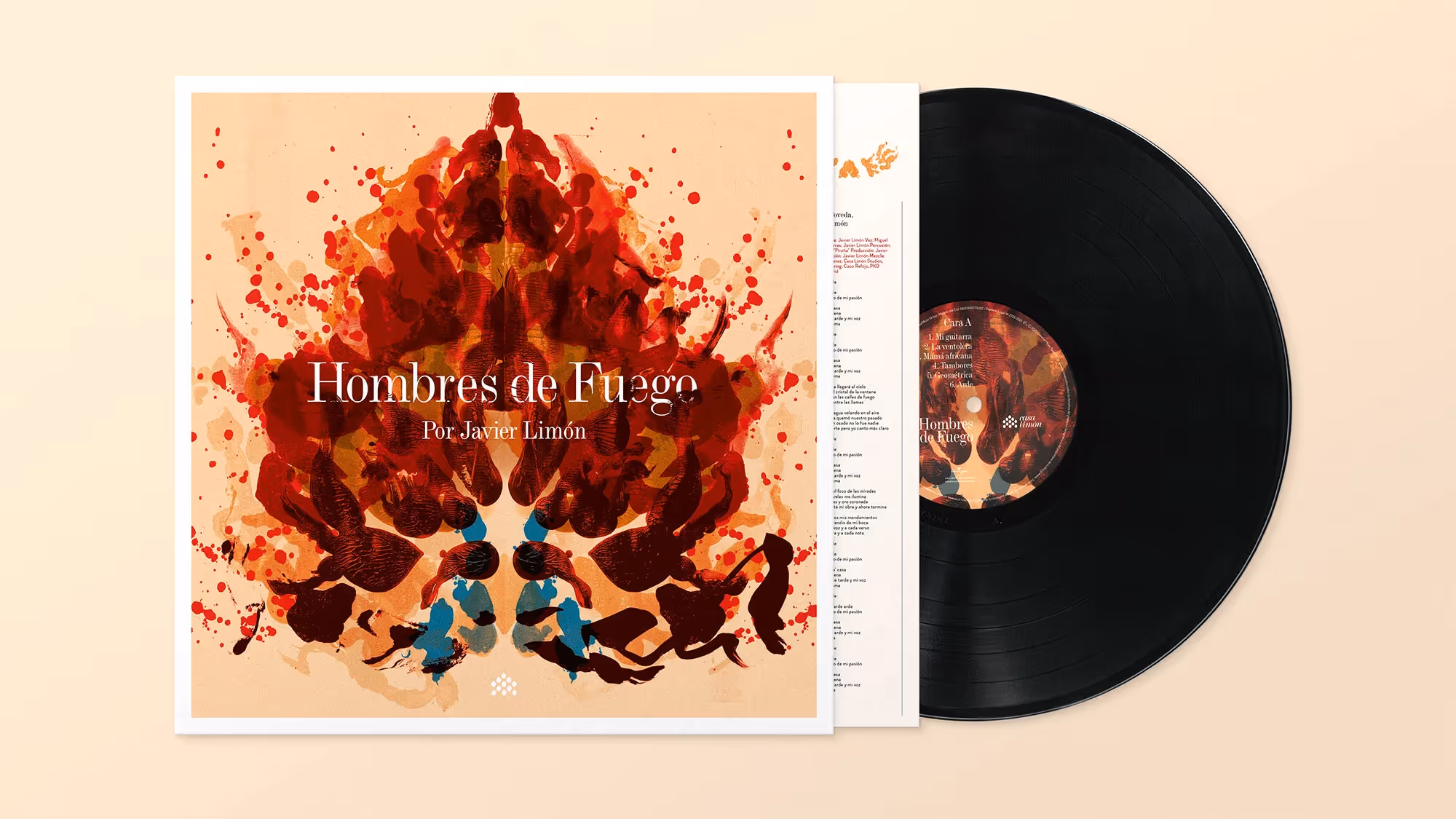 Overhead view of the album, showing the outer sleeve, inner sleeve, and vinyl record.