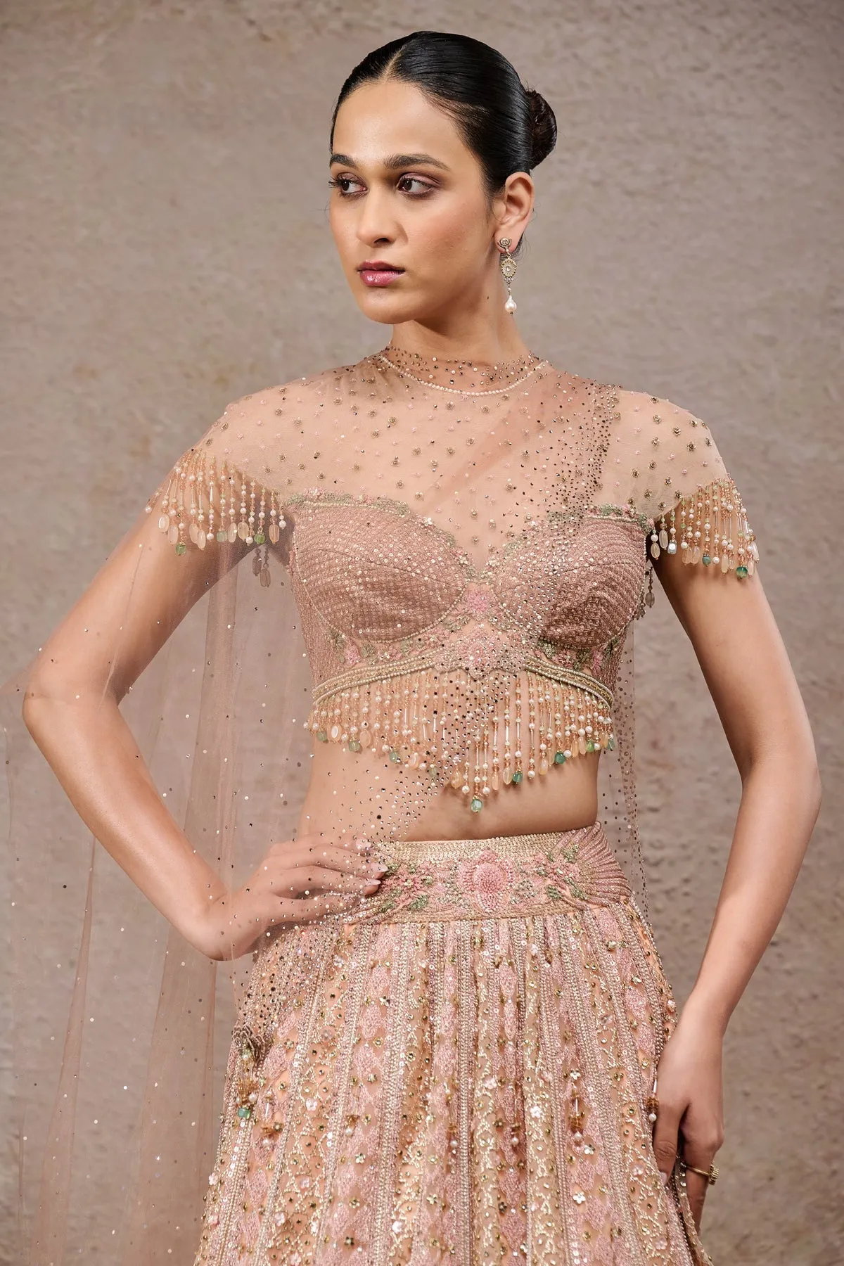 Blush Pink Embroidered Lehenga with Sheer Beaded Blouse
