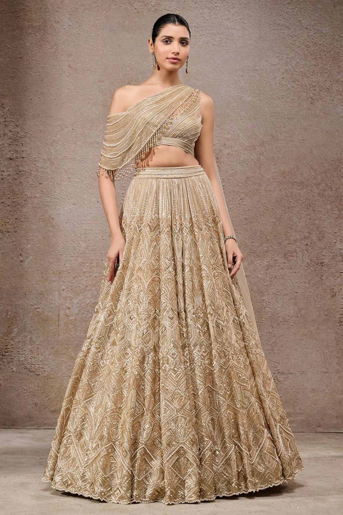 Champagne Gold Embellished Lehenga Set