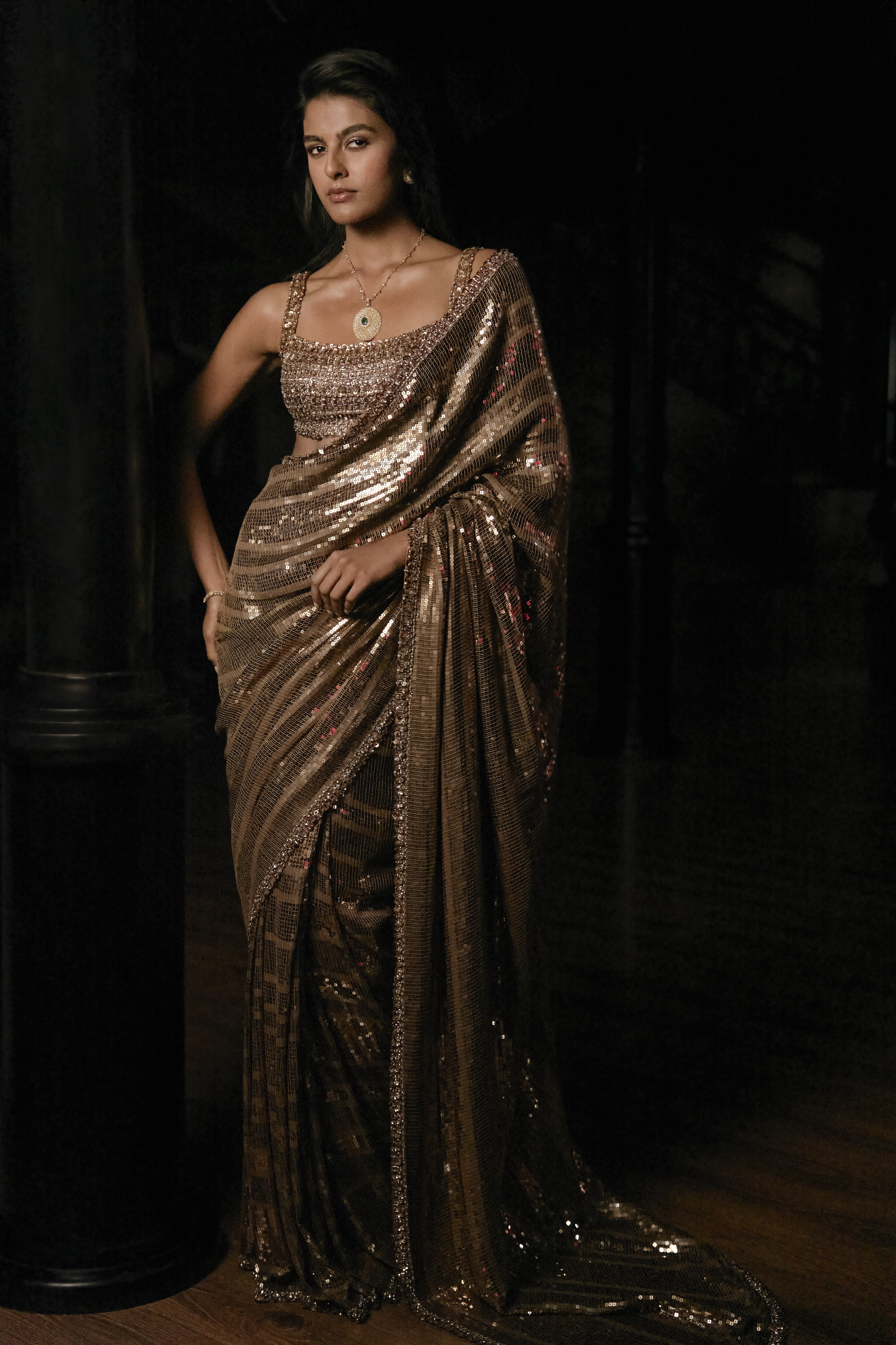 Bronze Sequin Sari with Embellished Blouse