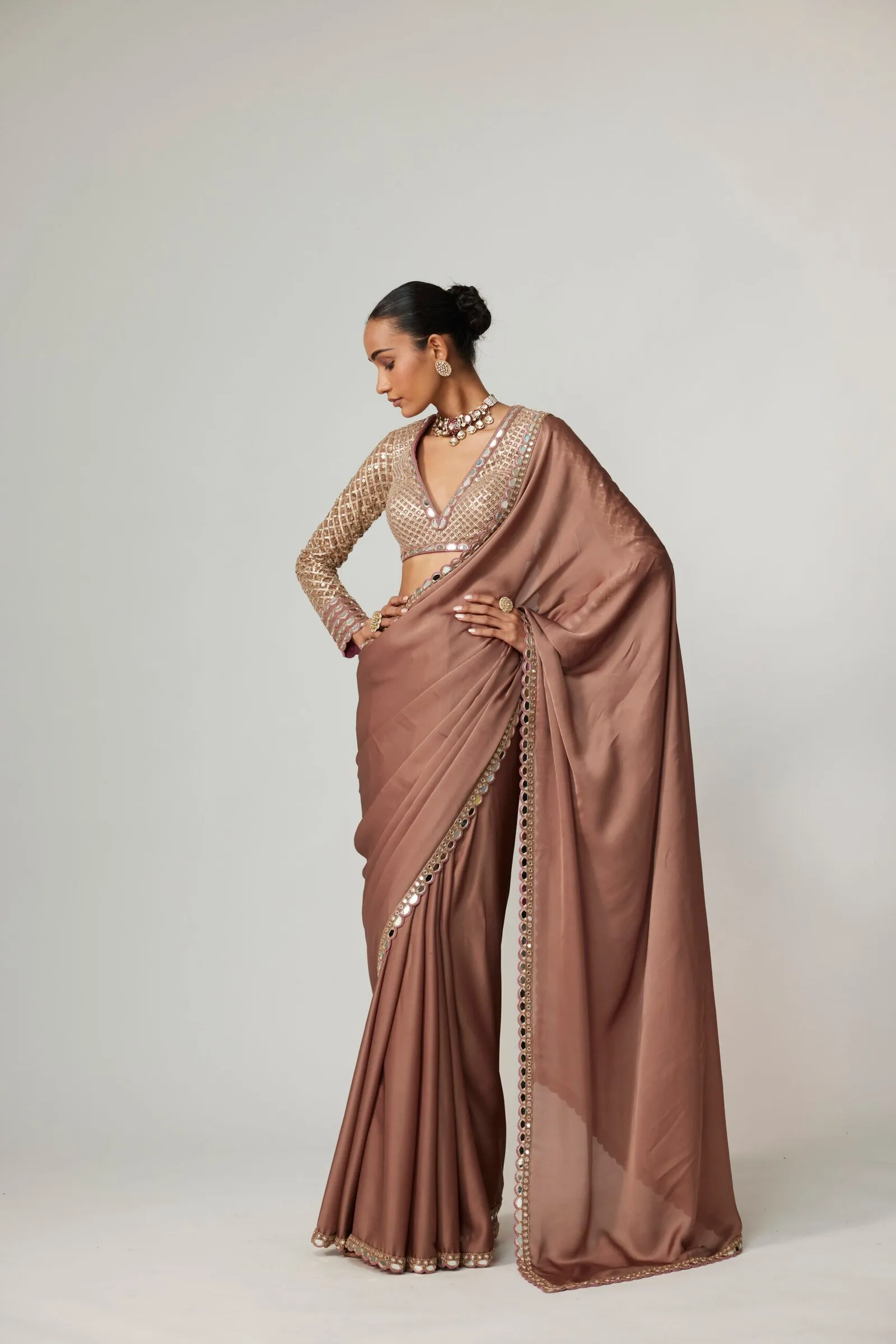 Mocha Brown Sari with Mirror Border & Embellished Blouse