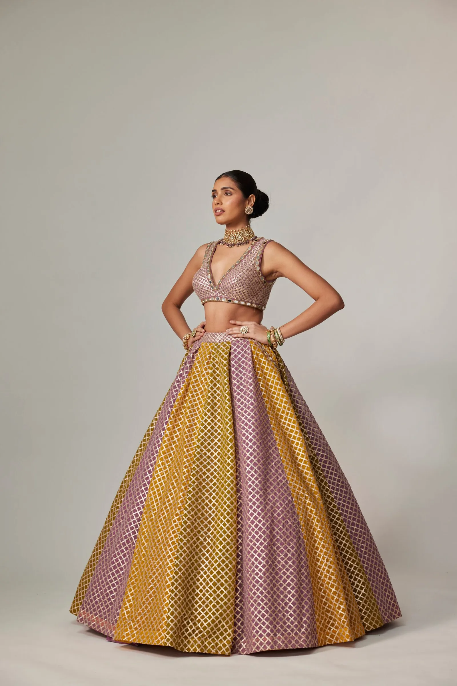Mustard and Lilac Jaal Lehenga with Deep V-Neck Blouse