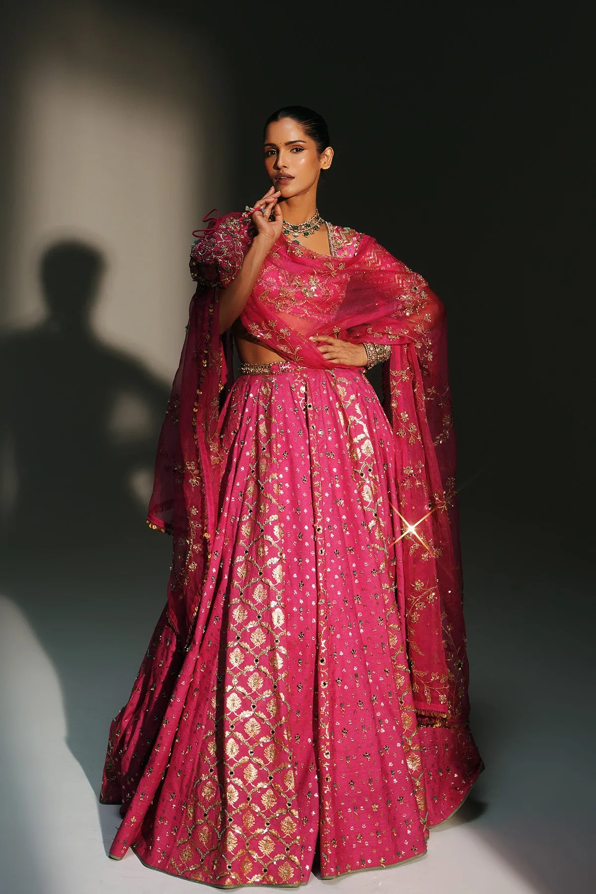 Rose Pink Embellished Lehenga with Floral Sequin Detailing