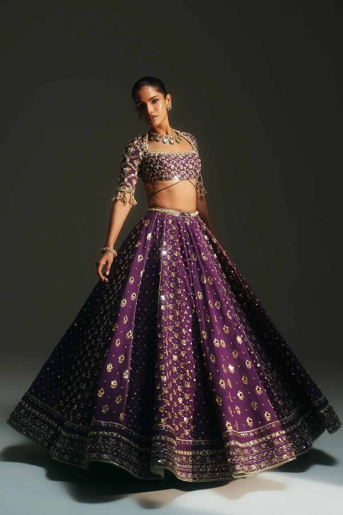 Deep Amethyst Embellished Lehenga with Structured Blouse