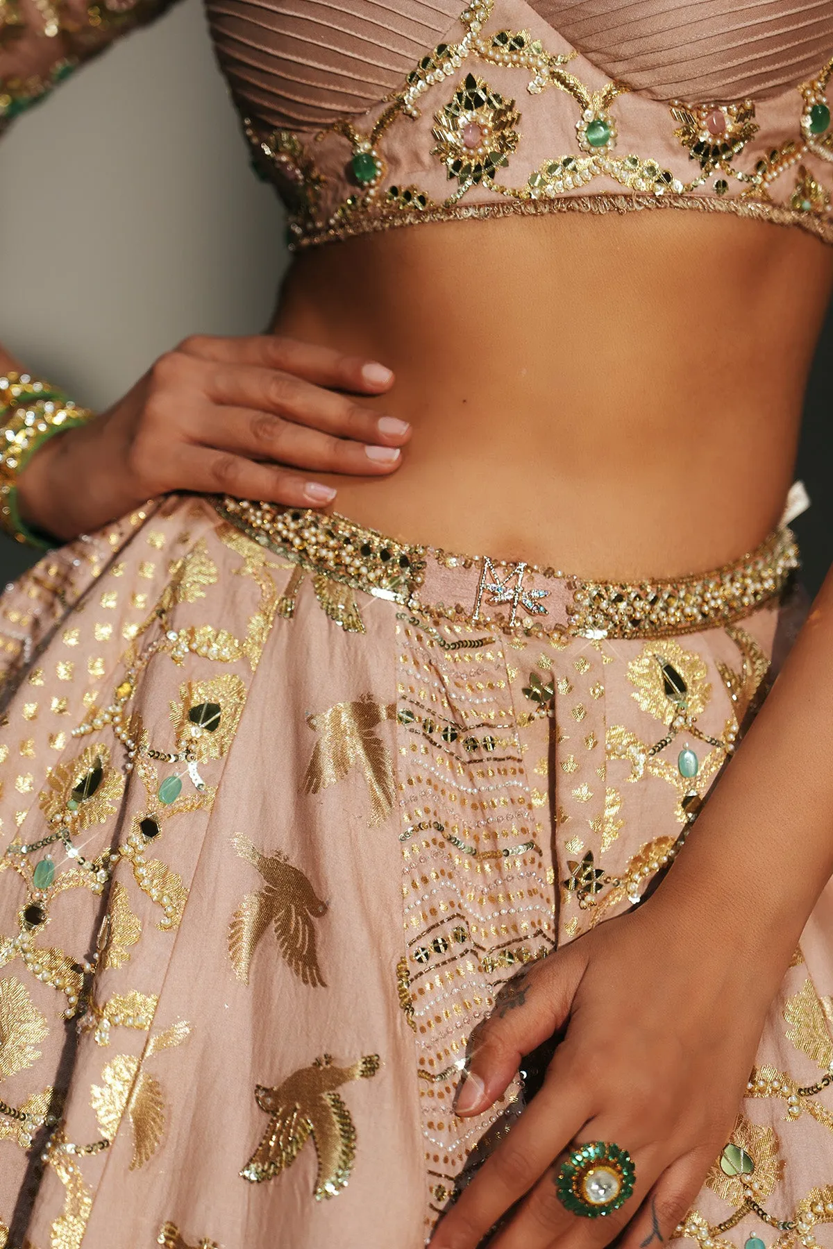 Soft Rose Gold Embellished Lehenga with Sheer Dupatta
