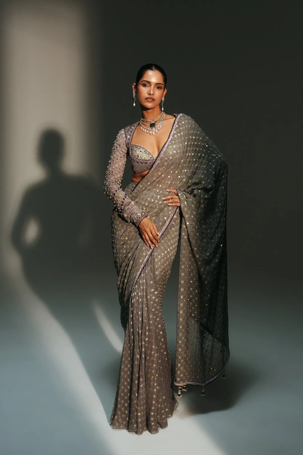 Smoky Taupe Embellished Sari with Delicate Gold Detailing