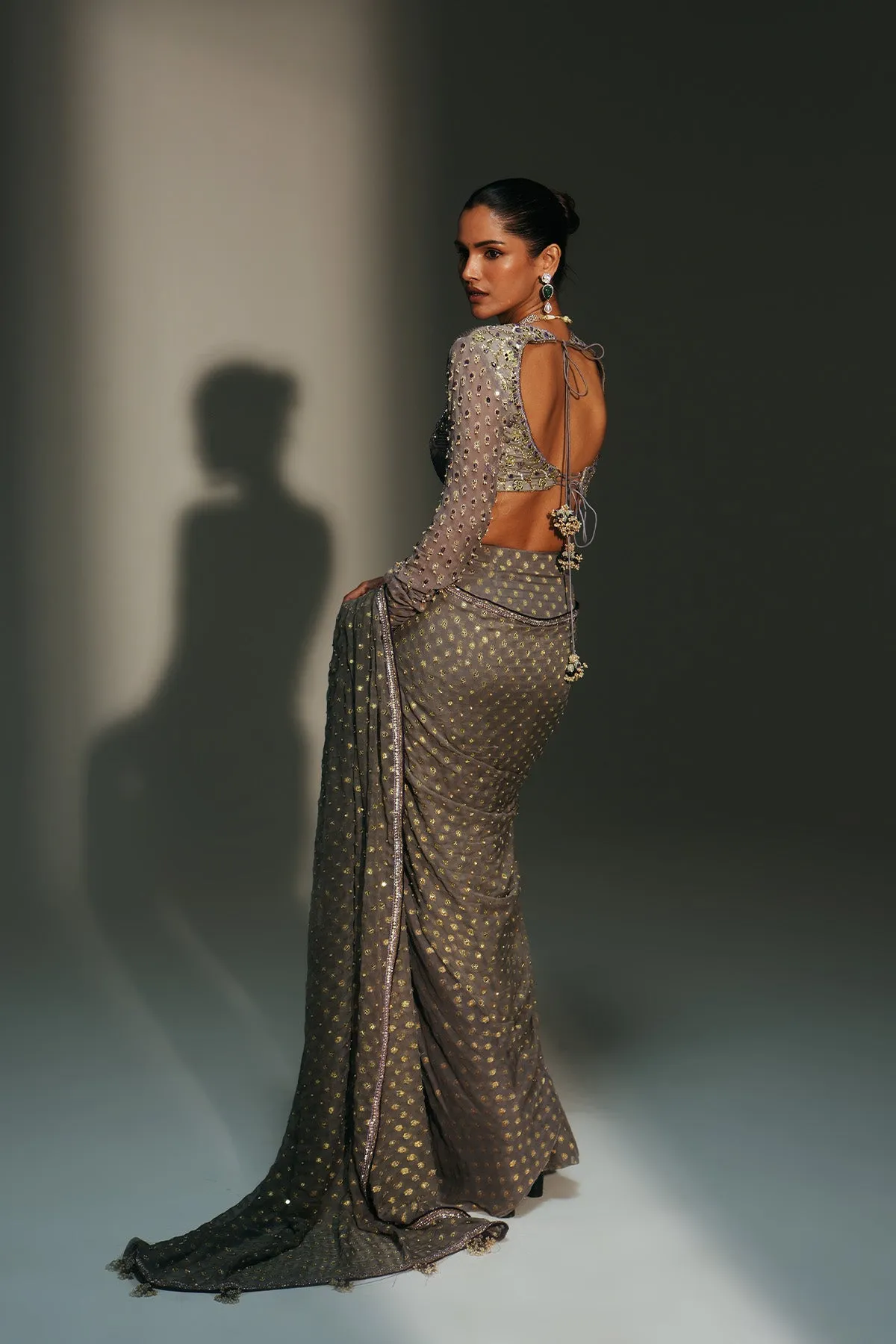 Smoky Taupe Embellished Sari with Delicate Gold Detailing