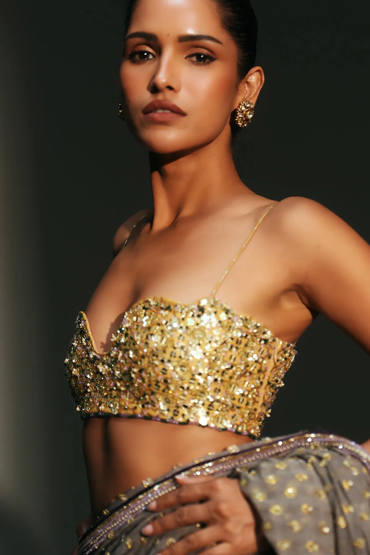 Smoky Grey Embellished Sari with Beaded Blouse