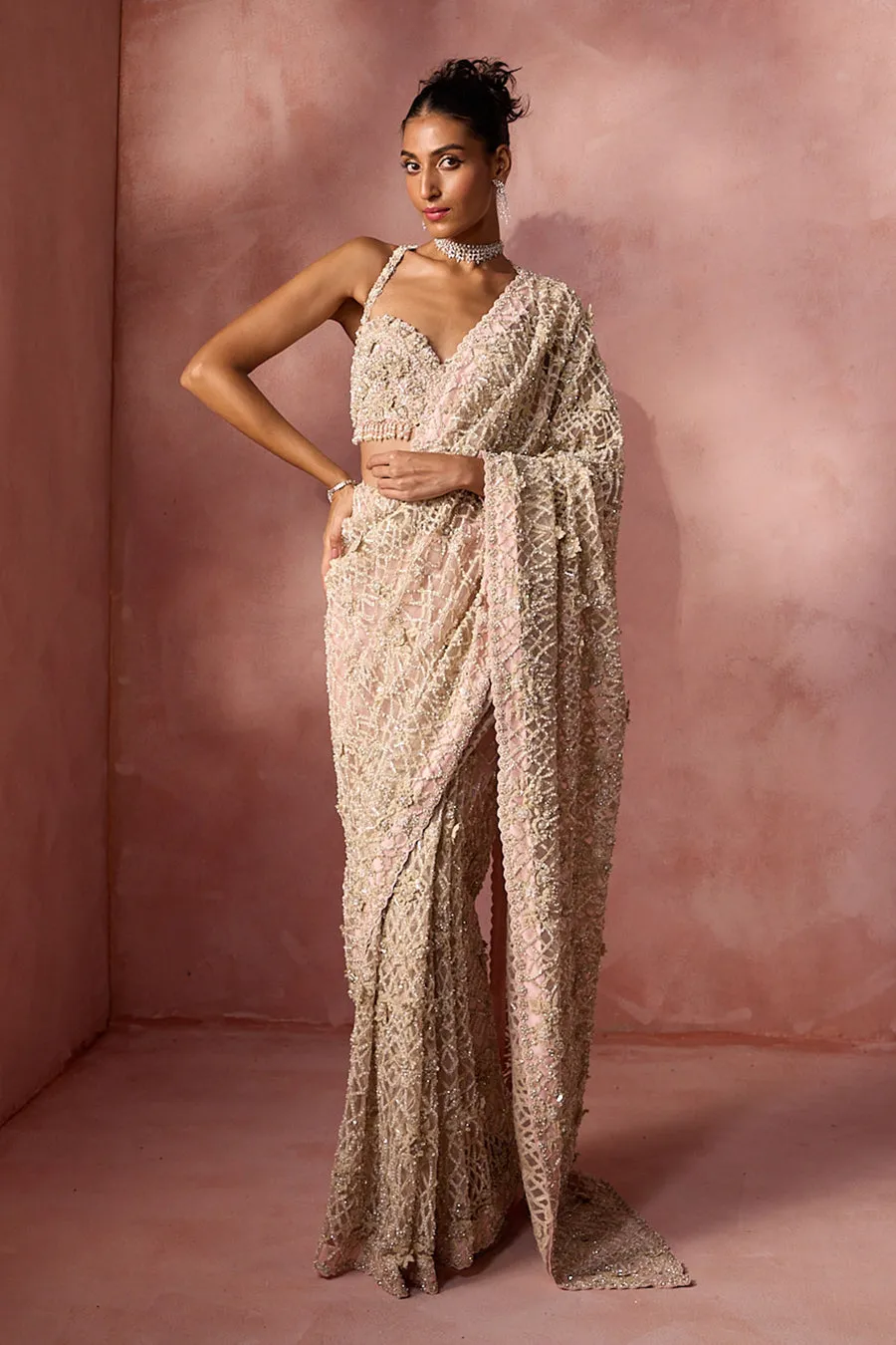 Champagne Gold Heavily Embellished Sari