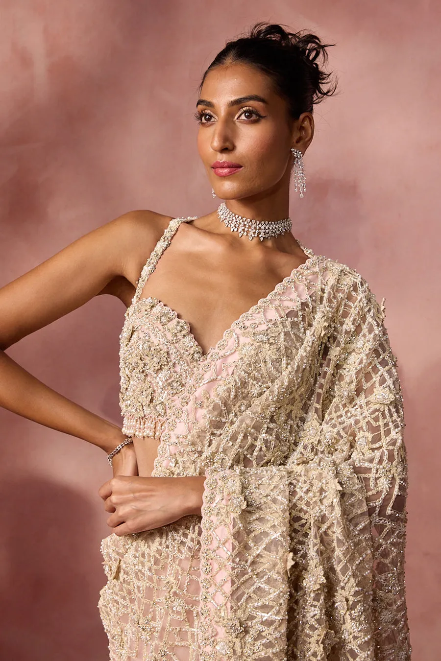 Champagne Gold Heavily Embellished Sari