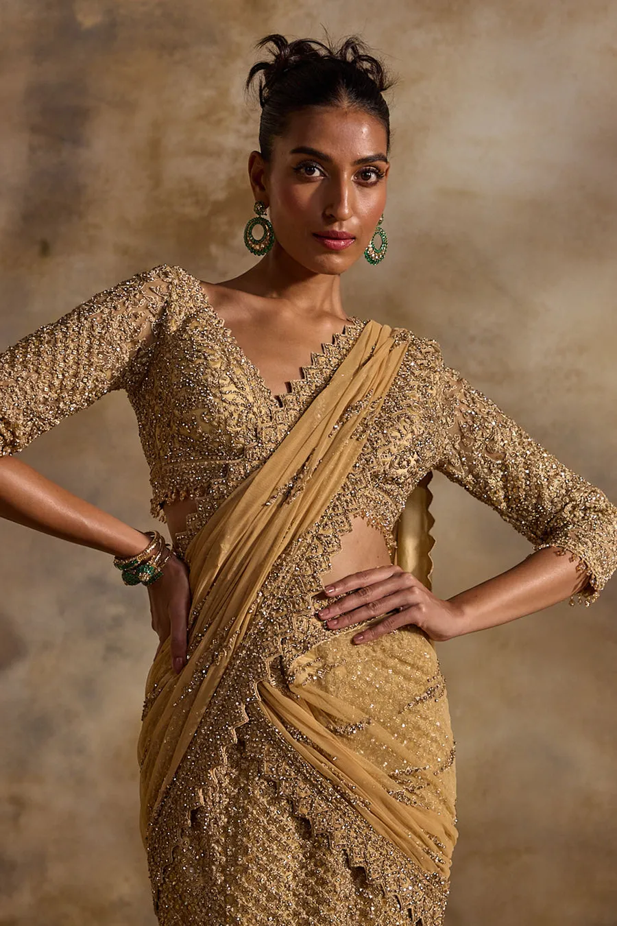 Antique Gold Embellished Sari