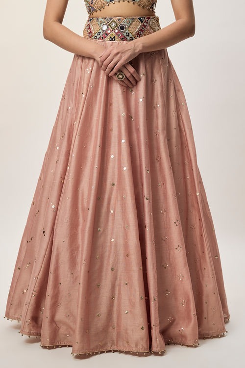 Blush Rose Lehenga with Mirror-Embellished Heritage Blouse