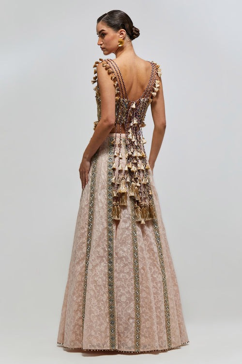 Blush Lehenga with Vertical Mirror-Embroidered Panels and Heritage Blouse