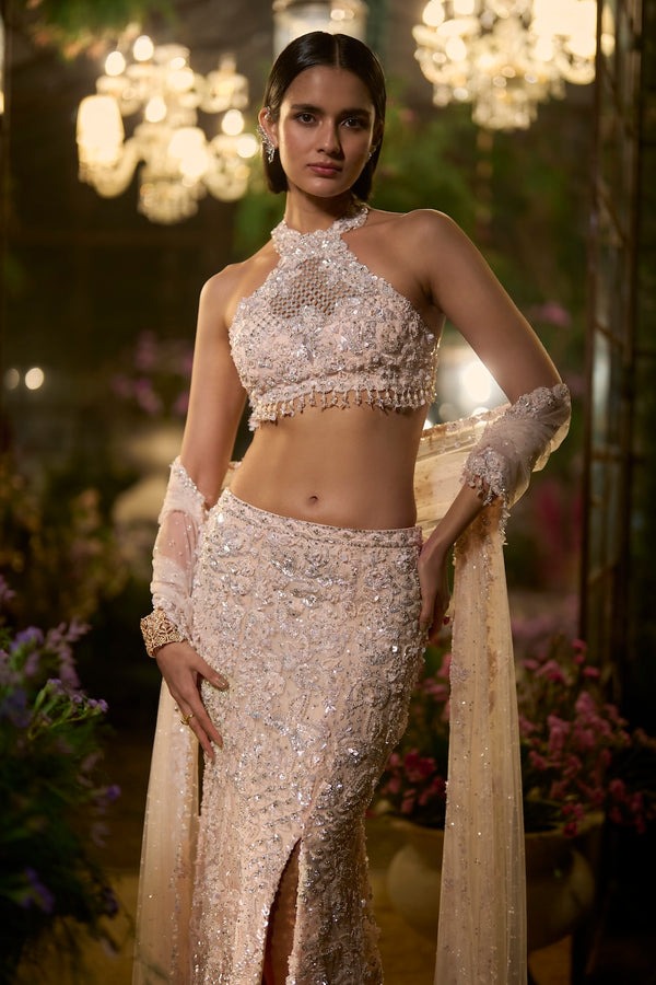 Champagne Gold Embroidered Skirt Set with Crystal Zardozi and Sequin Detailing