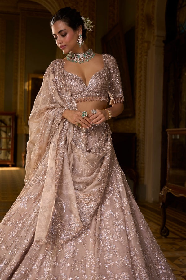 Champagne Crystal Embellished Bridal Lehenga Set