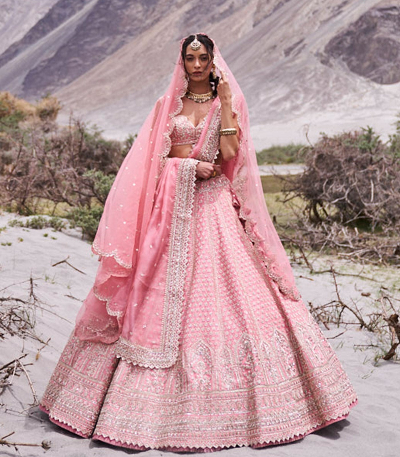  Blush Pink Bridal Lehenga with Crystal Embroidery and Veil Dupatta