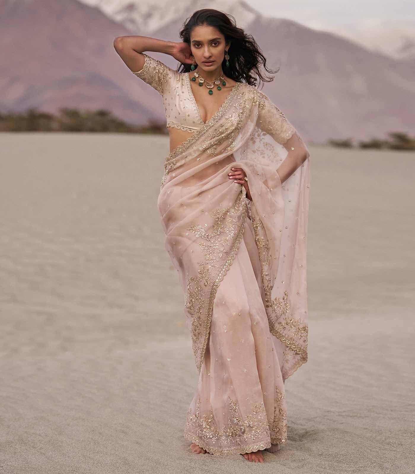 Blush Pink Organza Sari with Hand Embroidered Floral Detailing