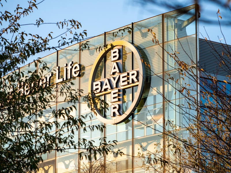 Case study Bayer: logo of the life sciences company, industry life sciences, Seatti customer since 2025