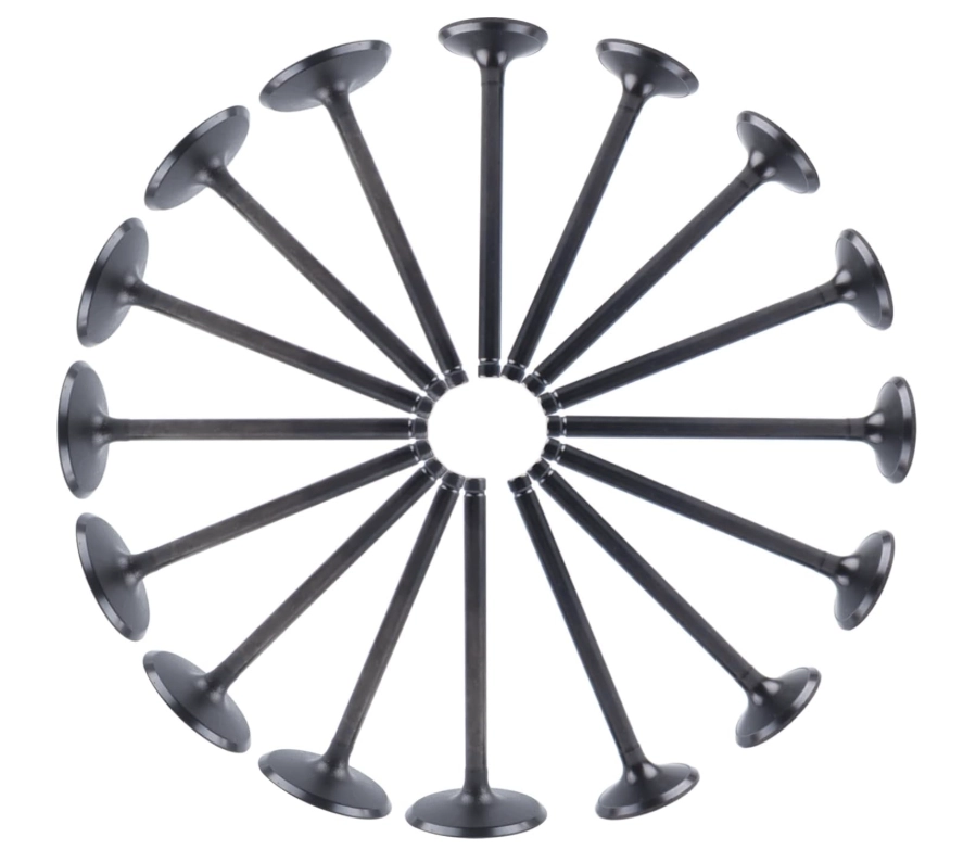 Land Rover, Jaguar LR010698 5.0 Naturally Aspirated intake valve set of 16