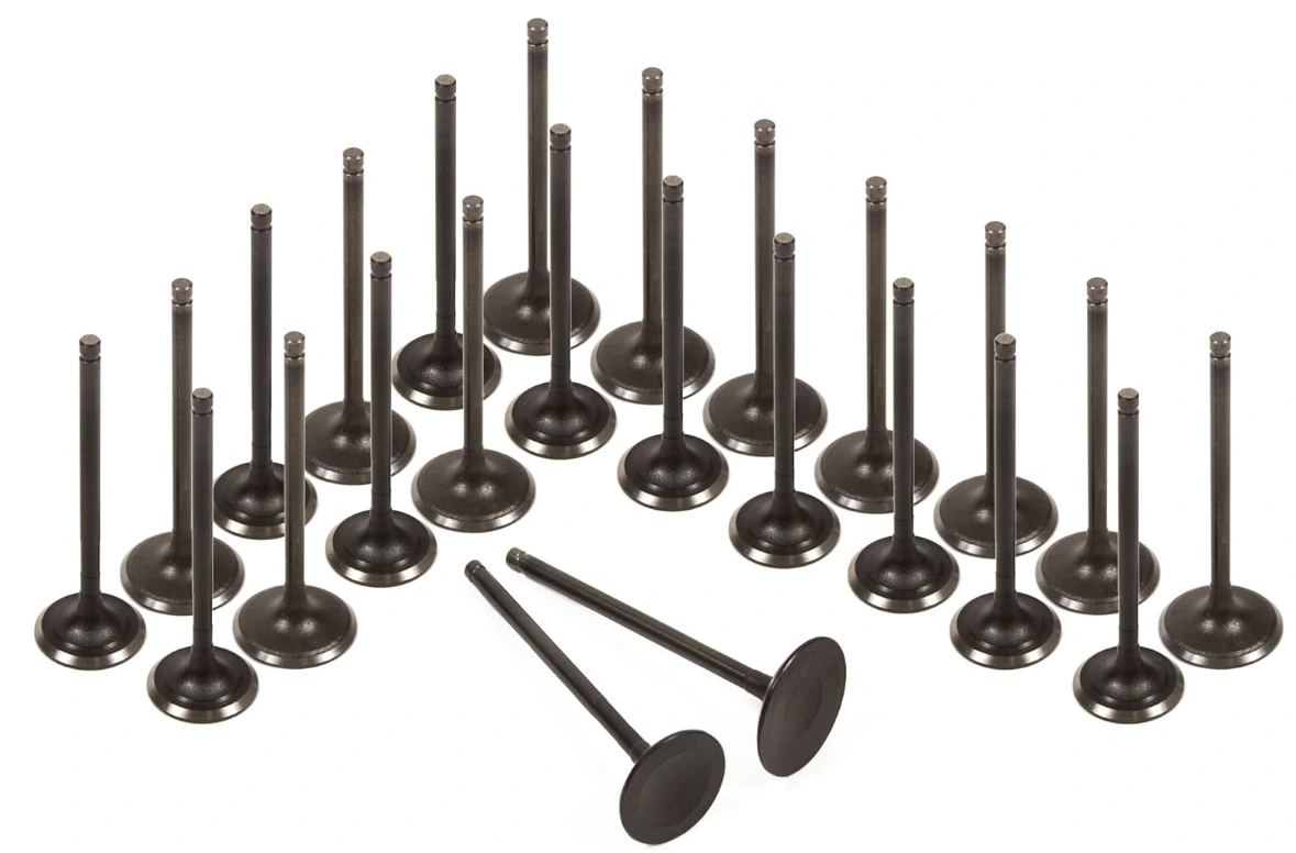 Land Rover, Jaguar LR010698 5.0 Naturally Aspirated* intake valve set of 32