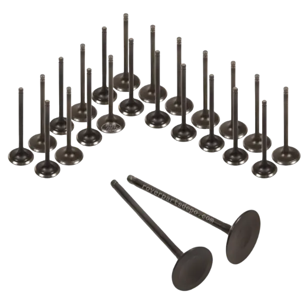 Land Rover, Jaguar LR010698 5.0 Naturally Aspirated* intake valve set of 32