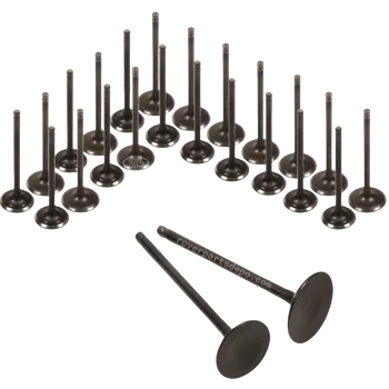 Land Rover, Jaguar LR010698 5.0 Naturally Aspirated* intake valve set of 32