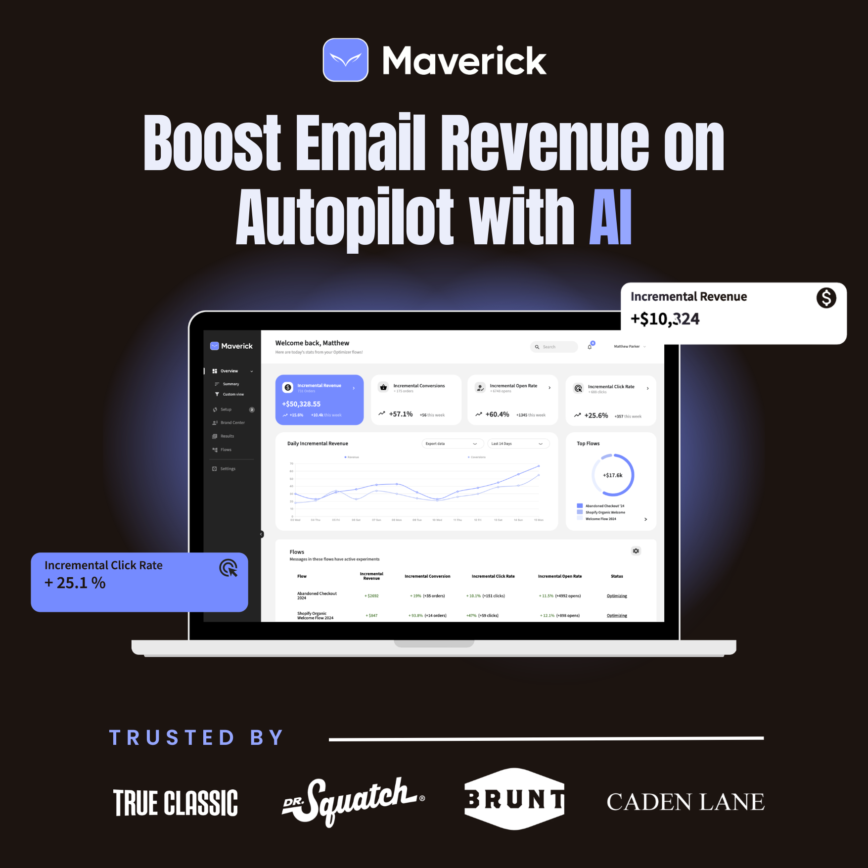 Maverick — product overview and interface preview