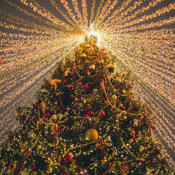 Koncert Kolęda do Nieba z udziałem Kameralistów Sinfonietty Cracovii