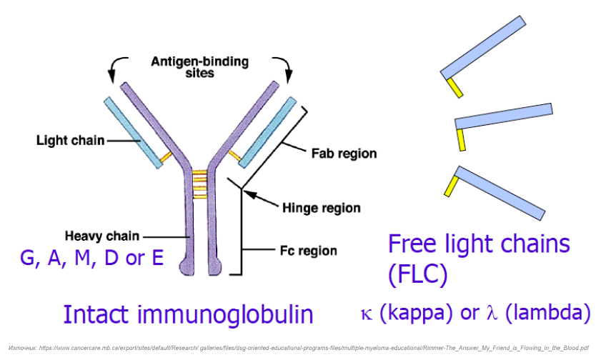 Нов турбидиметричен метод за изследване на биомаркери