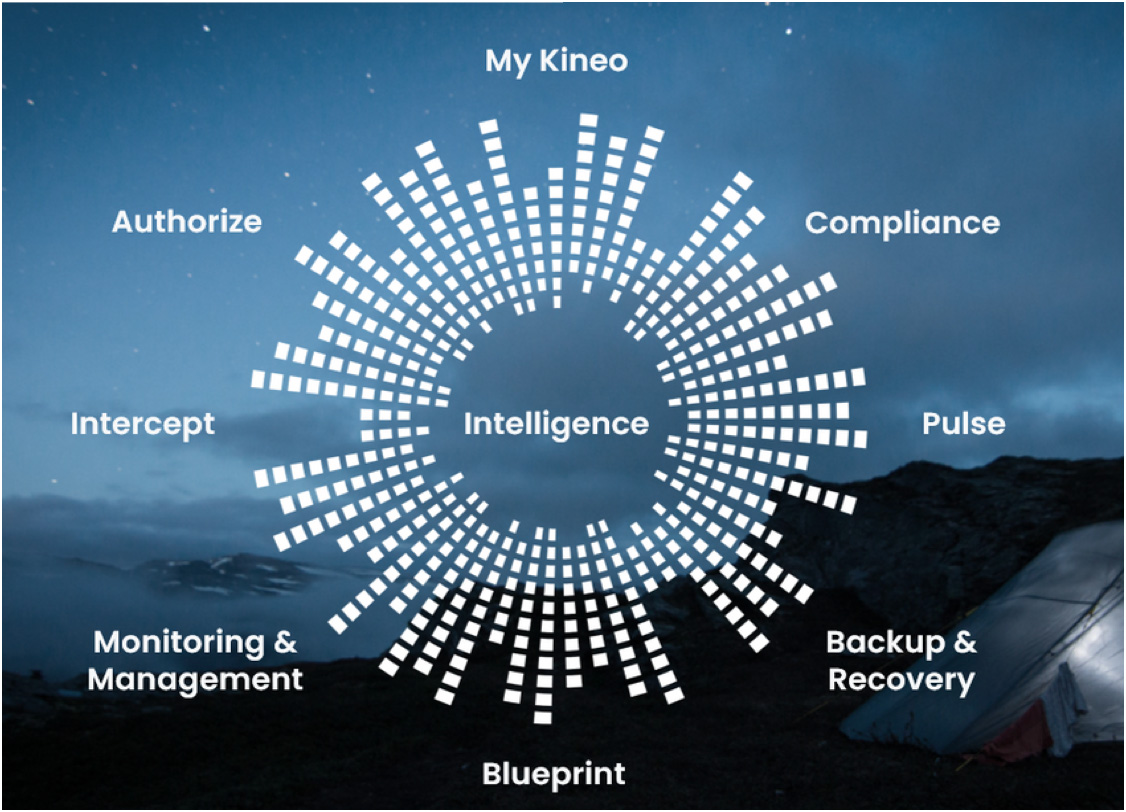The Kineo Technology Platform incorporates intelligence, compliance, pulse, backup and recovery, blueprint, monitoring and management, intercept, authorize functions to your IT solutions