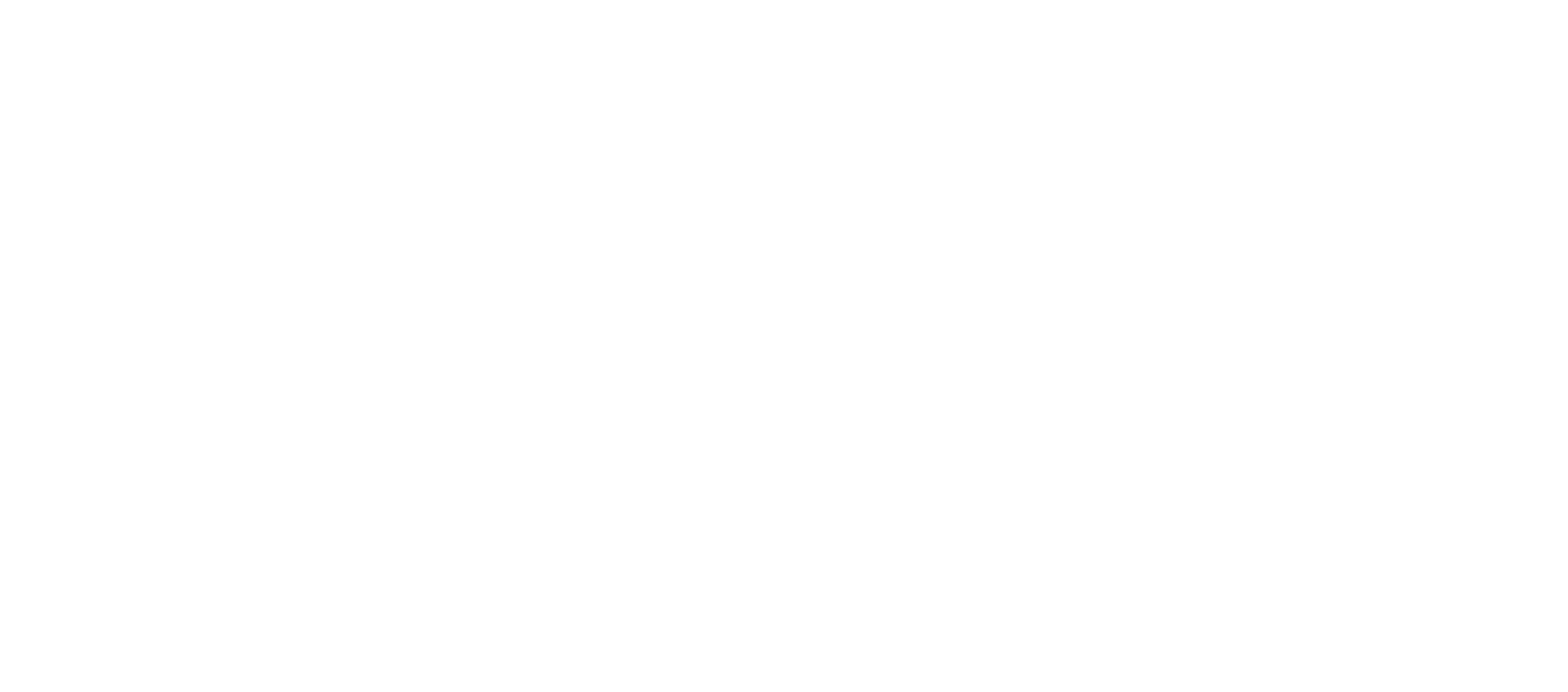Brand Logo Light