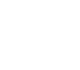 Human Icon