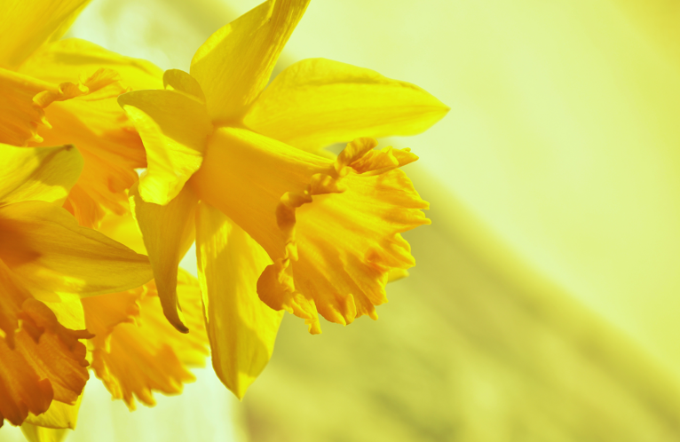 The Urgency of the Good News