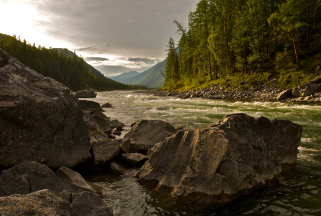 Rivers of Living Water