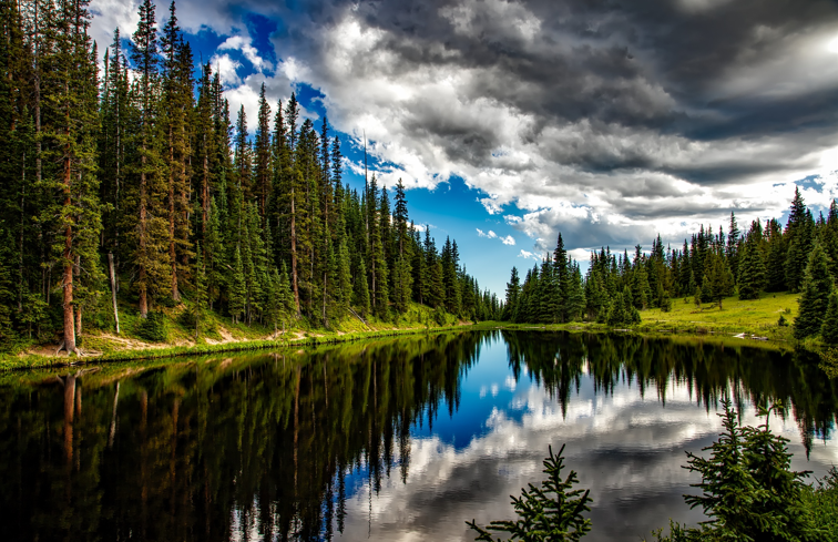 The Wideness of God's Mercy